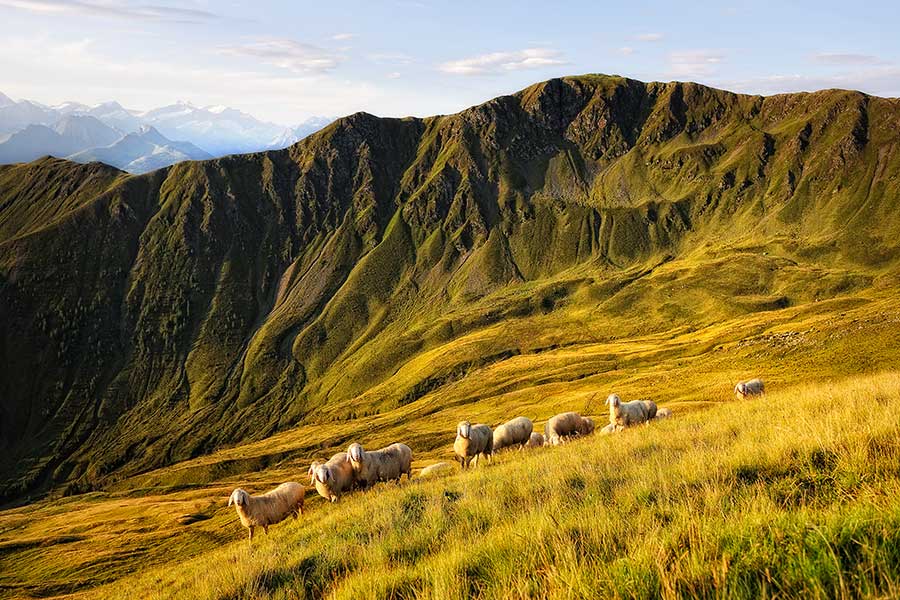 Seven-Summits-of-Saalbach-Hinterglemm.jpg