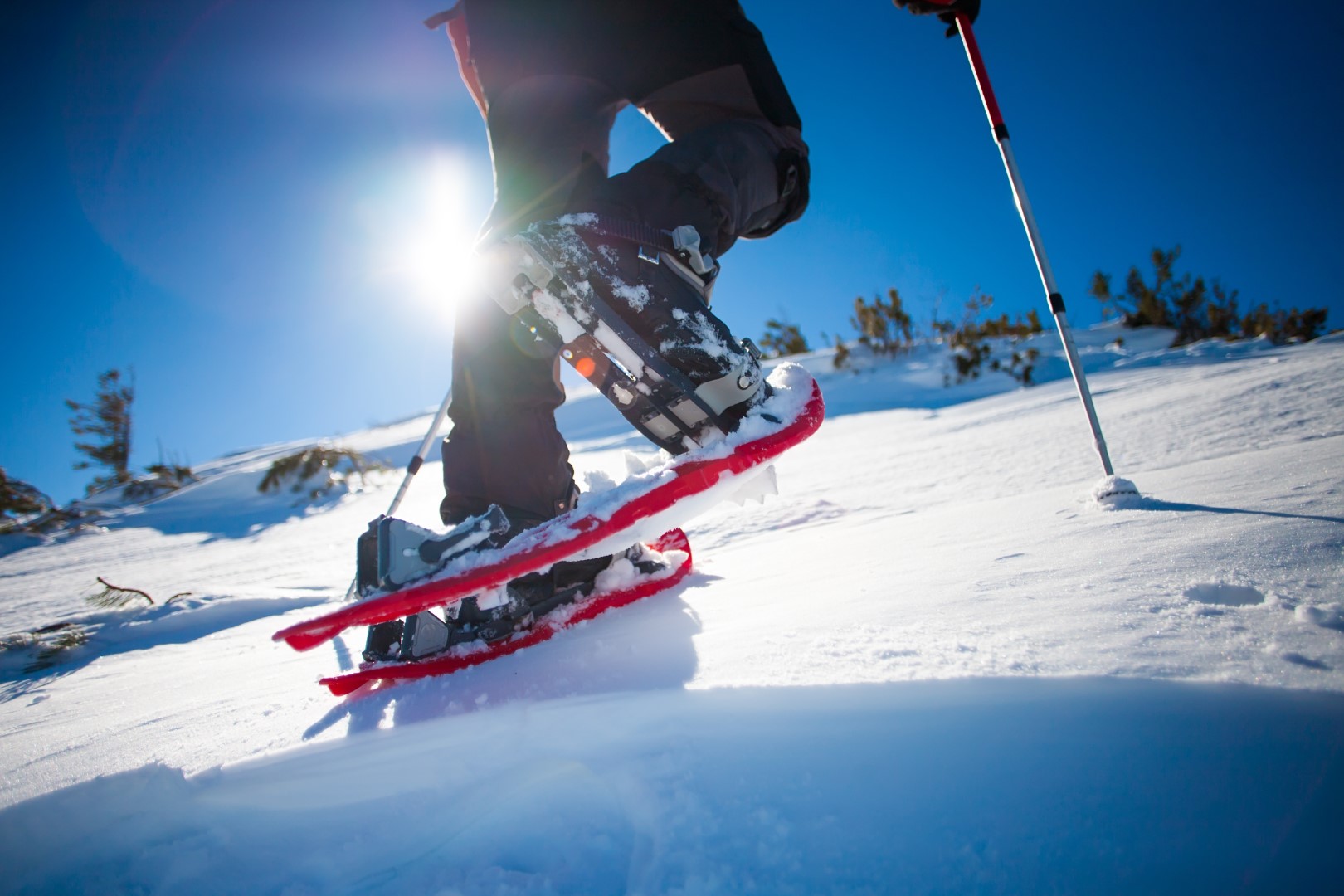 SAALBACH Schneeschuhschritt Neutral shutterstock_604090136.jpg
