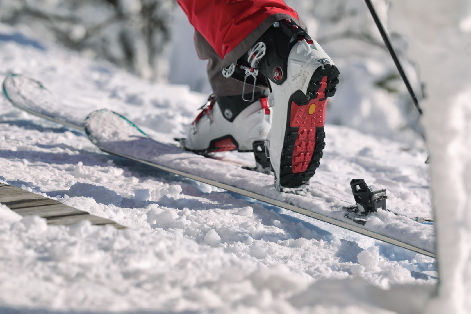SAALBACH Skitourenbindung Neutral shutterstock_564075721.jpg